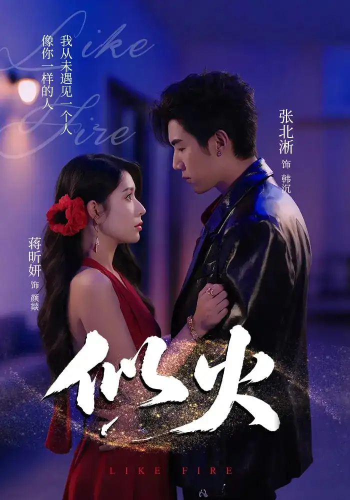 似火(80集)张北淅&蒋昕妍&金穗&咸俊旭高清海报图片 似火(80集)张北淅&蒋昕妍&金穗&咸俊旭海报