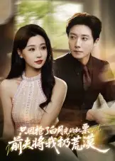 只因抢了白月光的机票前夫将我扔荒漠（50集）海报