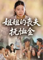 姐姐的丧夫抚恤金（40集）海报