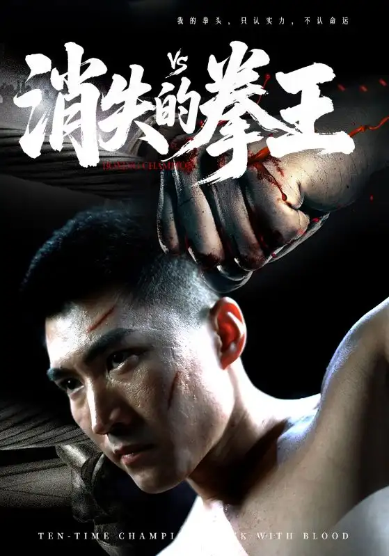 消失的拳王（72集）海报