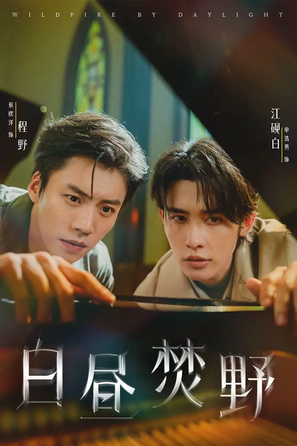 白昼焚野（70集）申浩男＆蔡欣洋海报