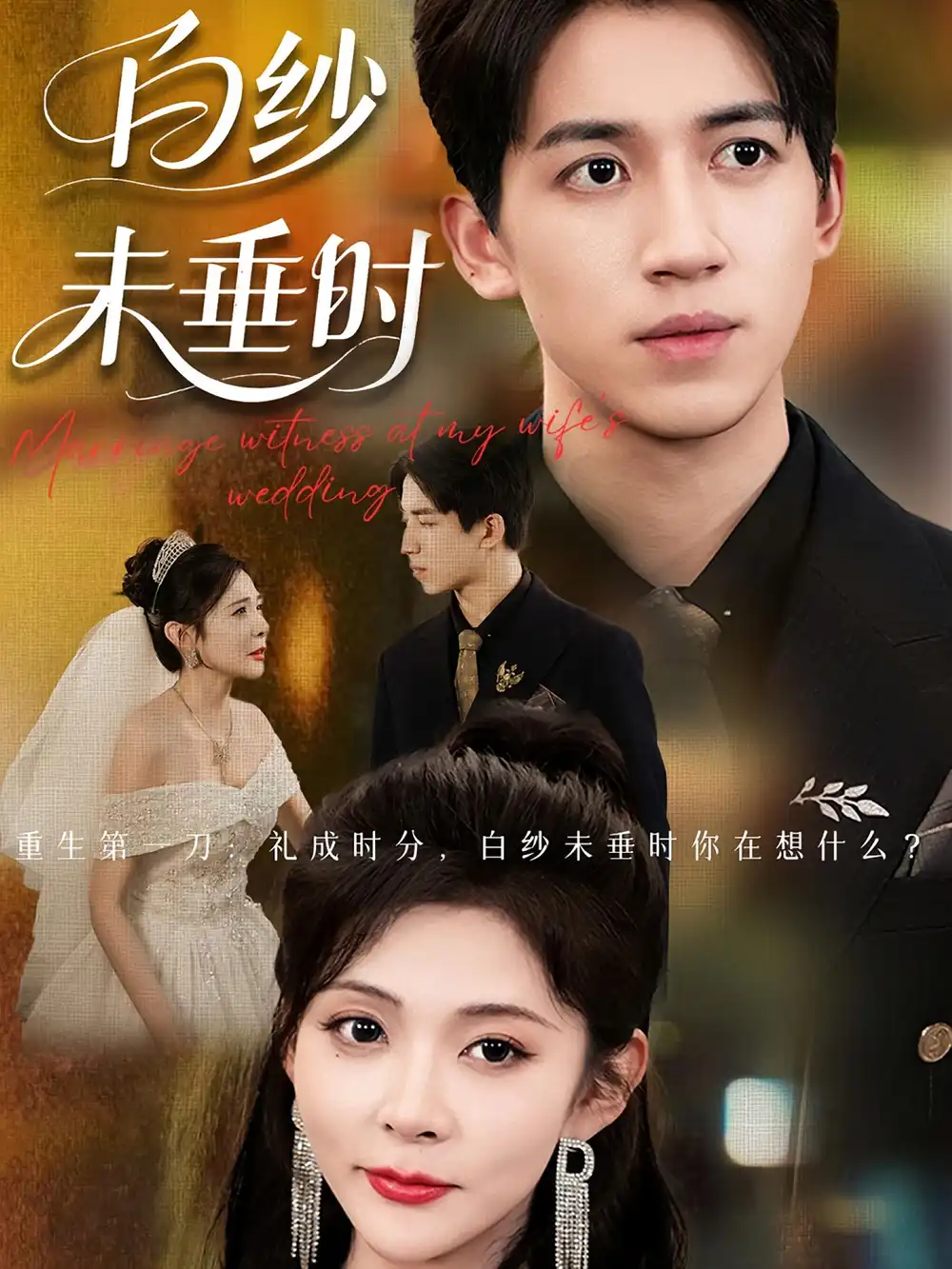 老婆婚礼我当证婚人&白纱未垂时（54集）钟煜霖&陆碧霄海报