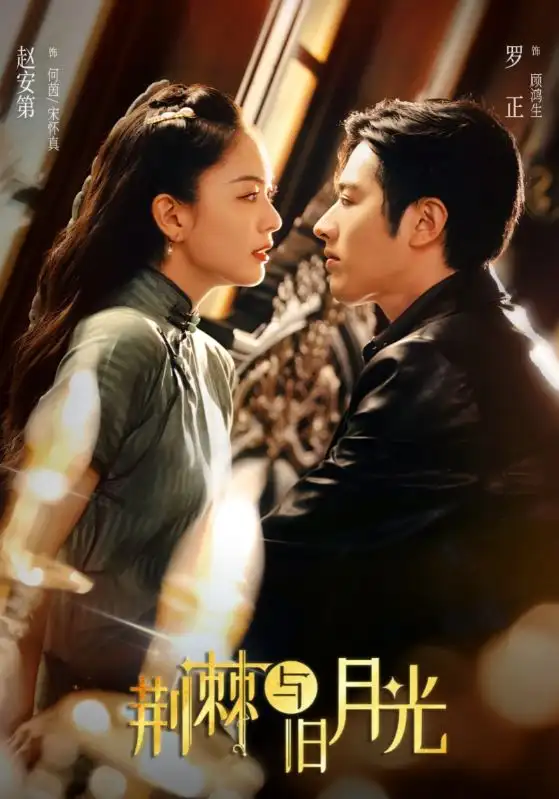 荆棘与旧月光(80集)罗正&赵安第高清海报图片 荆棘与旧月光(80集)罗正&赵安第海报