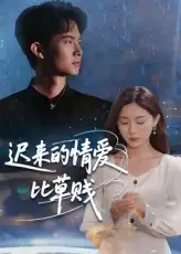 迟来的情爱比草贱（46集）海报