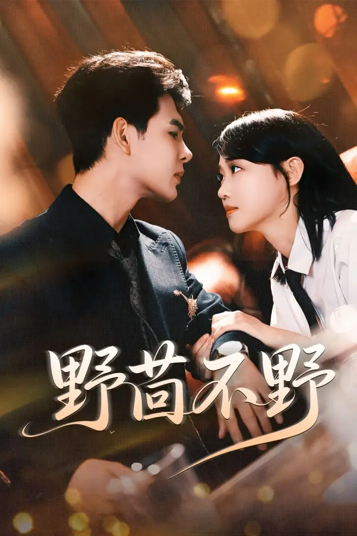 野茴不野(67集)靳旺&龚芳妮高清海报图片 野茴不野(67集)靳旺&龚芳妮海报