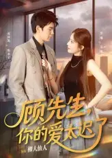 顾先生你的爱太迟了（60集）祝国凯&罗琳海报