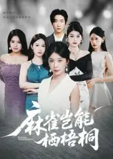 麻雀岂能栖梧桐（31集）海报