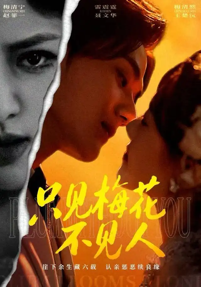 只见梅花不见人（63集）聂文华&王楚沅海报